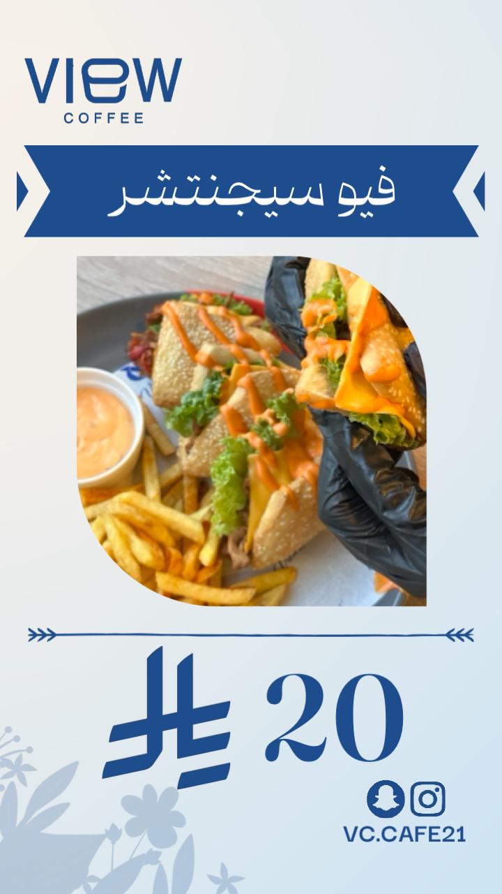 عرض فيو سيجنتشر