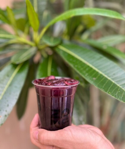 آيس تي كركدية