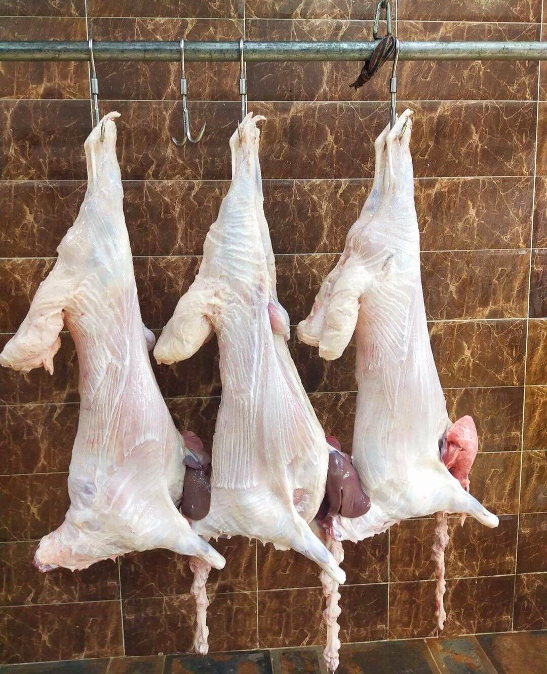 مطعم / سما الأردن