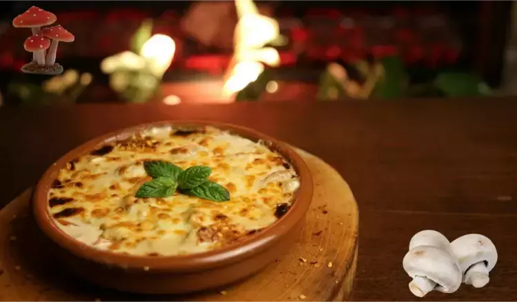 اسبيشيال باستا دجاج